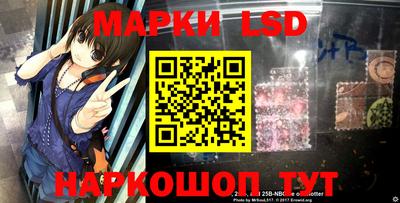 гидропоника Гусев