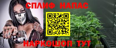гидропоника Гусев