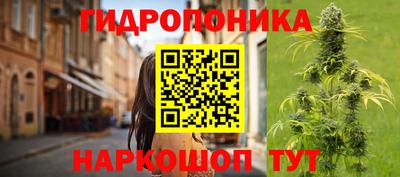 гидропоника Гусев