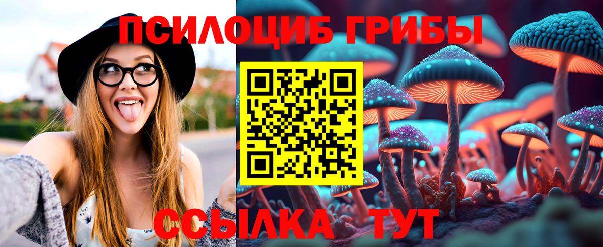 Галлюциногенные грибы Psilocybine cubensis Карталы